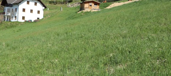 Terreno en Weitersfelden, Austria No. 9782 2