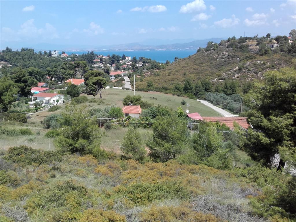 Коммерческая недвижимость с 4 спальнями в Skala Oropou, Оропос, Восточная Аттика, Аттика, Греция № 5662