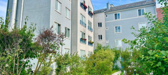 4-salle Appartement à Modling, Austria No. 232358 2