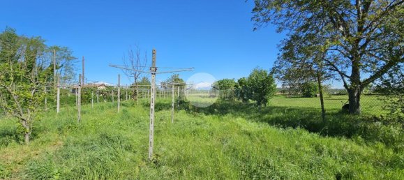 Casa de 4 habitaciónes en Villareggia, Italy No. 151026 16