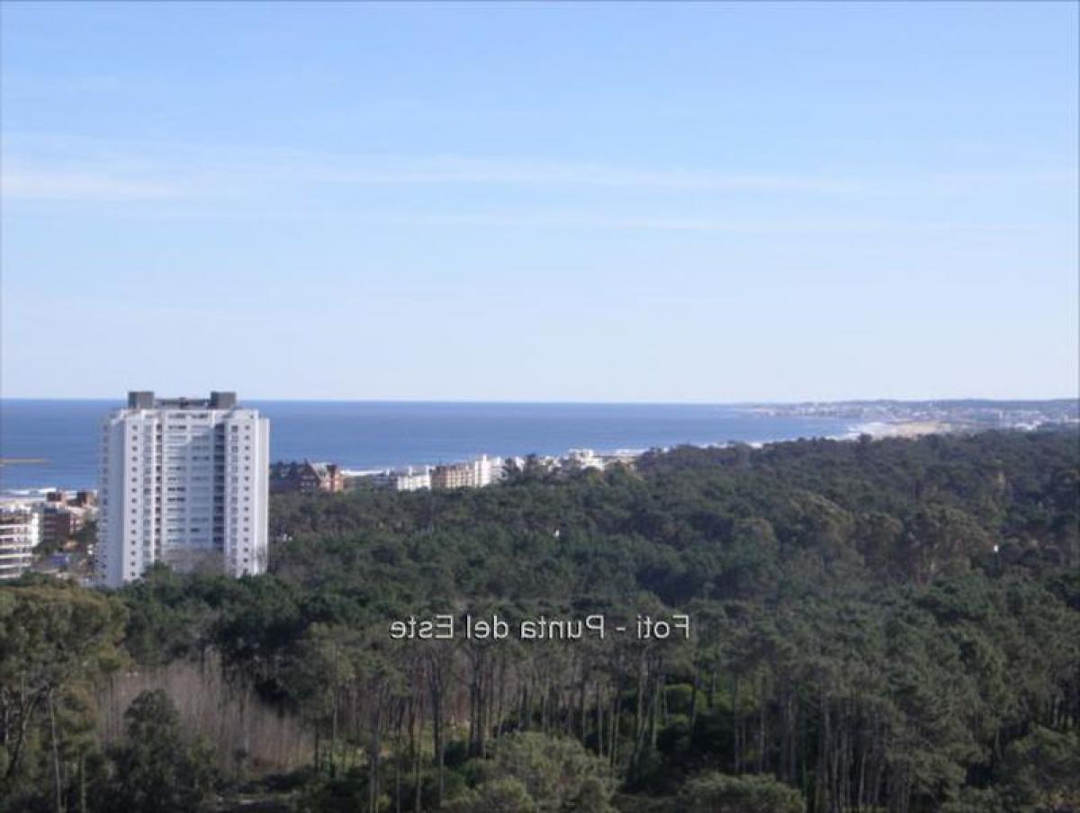 2 غرف نوم شقة في Punta del Este, Uruguay رقم 2971