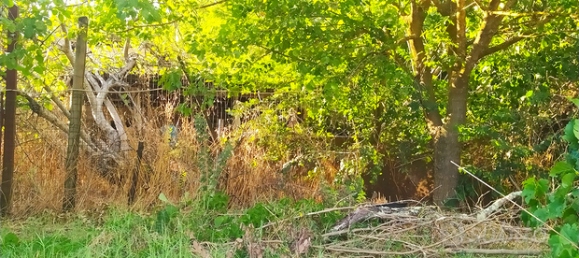 1000m² Land in Cervaro, Italy No. 267800 2