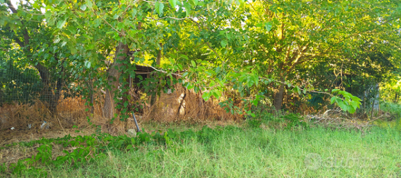 1000m² Land in Cervaro, Italy No. 267800 3