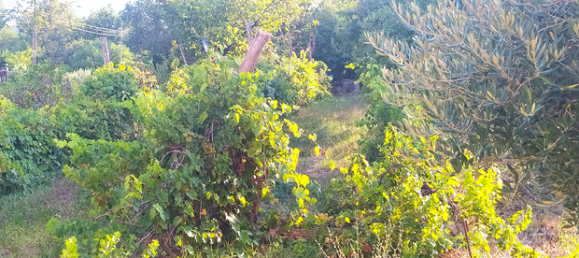 1000m² Land in Cervaro, Italy No. 267800 5