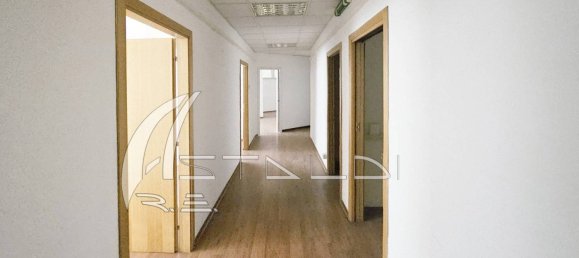 5 rooms Office in Rome, Italy No. 328351 4