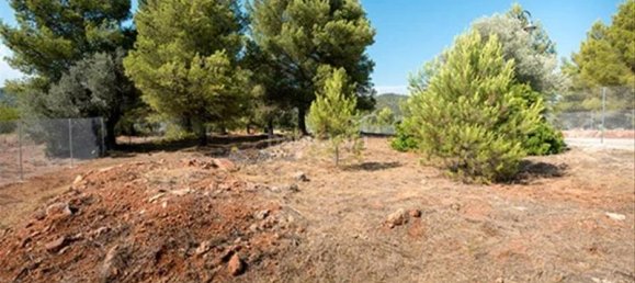1875m² Land in Sant Joan de Moro, Spain No. 155720 6