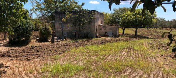 Земельный участок в Ортенау, Германия № 338940 3