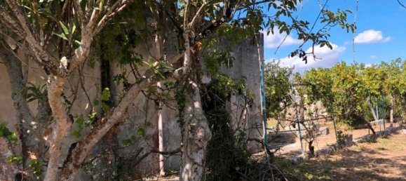 Земельный участок в Ортенау, Германия № 338940 12