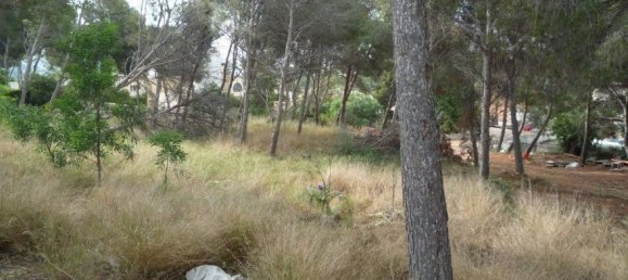  Land in Moraira, Spain No. 8424 3