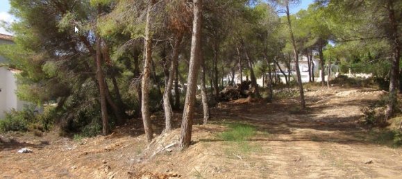  Land in Moraira, Spain No. 8424 6