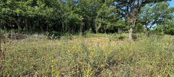  قطعة أرض في Tourrettes, France رقم 185264 3