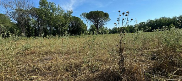  قطعة أرض في Tourrettes, France رقم 185264 4