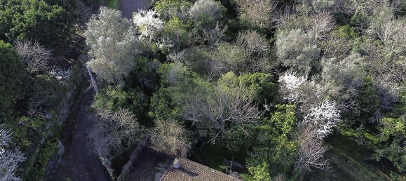 Casa T3 em Oliveira do Douro, Portugal N.º 20555 5