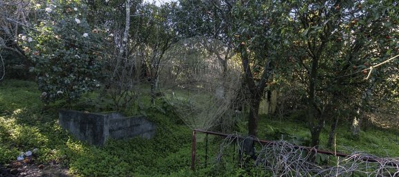 Casa T3 em Oliveira do Douro, Portugal N.º 20555 16