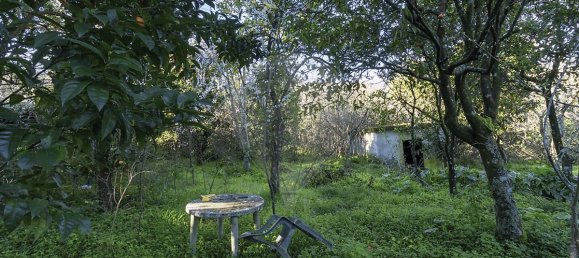 Casa T3 em Oliveira do Douro, Portugal N.º 20555 17