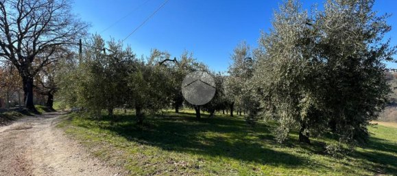 Terrain à Montebuono, Italy 10000m² No. 159794 4