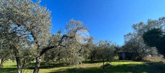 Terrain à Montebuono, Italy 10000m² No. 159794 8