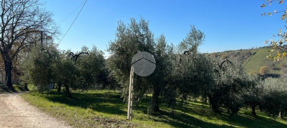 Terrain à Montebuono, Italy 10000m² No. 159794 2