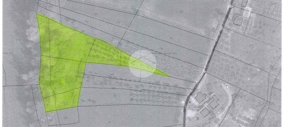 Terrain à Montebuono, Italy 10000m² No. 159794 15