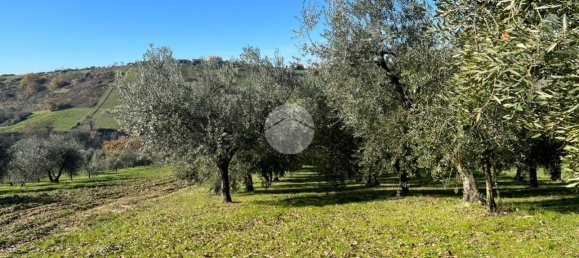 Terrain à Montebuono, Italy 10000m² No. 159794 6