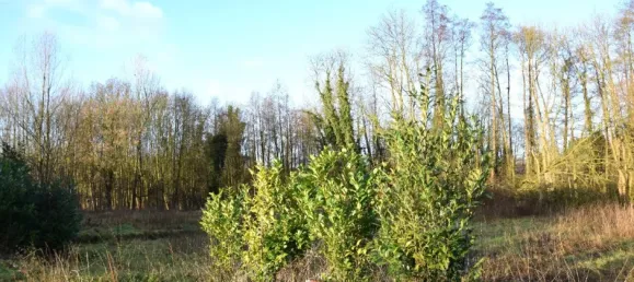 Земельный участок в Фирзен, Германия № 152776 4