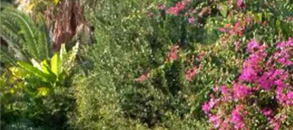 6 bedrooms Villa in Vouliagmeni, Greece No. 6972 4