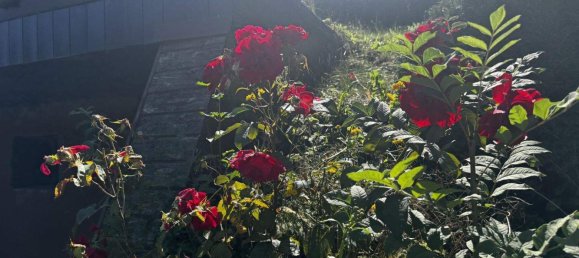 7 rooms House in Warth, Austria No. 248940 25