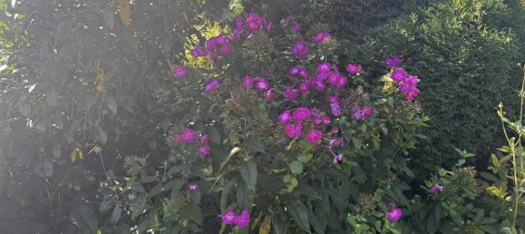 7 rooms House in Warth, Austria No. 248940 3