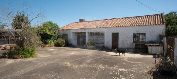 4 chambres Maison à Alcobaca, Portugal No. 29290 43