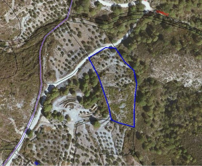 Земельный участок 4874м² в Альмуньекар, Испания № 223364