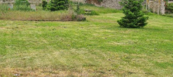 Terrain à Mer, France No. 85789 3