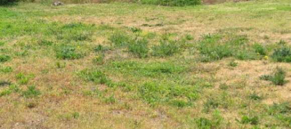 Terrain à Mer, France No. 85789 8