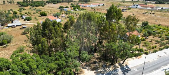 9 Schlafzimmer Haus in Grandola, Portugal, Nr. 49450 38