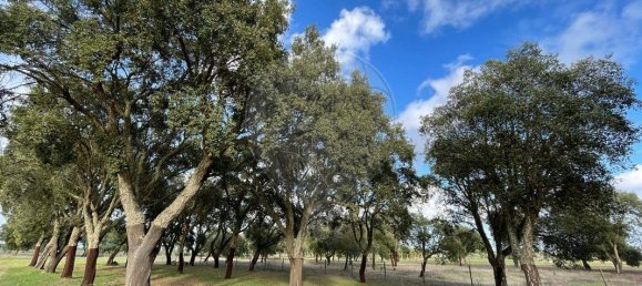 9 Schlafzimmer Haus in Grandola, Portugal, Nr. 49450 10