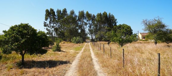 9 Schlafzimmer Haus in Grandola, Portugal, Nr. 49450 30
