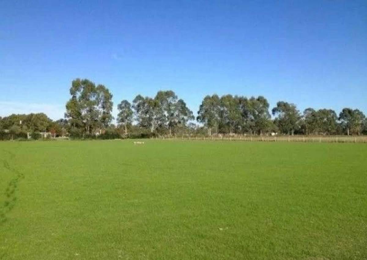  Land in Pilar, Argentina No. 121225