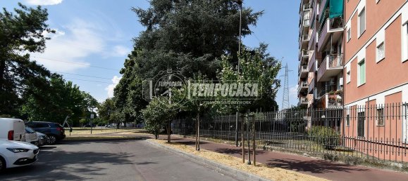 2 rooms Apartment in Cologno Monzese, Italy No. 269891 8