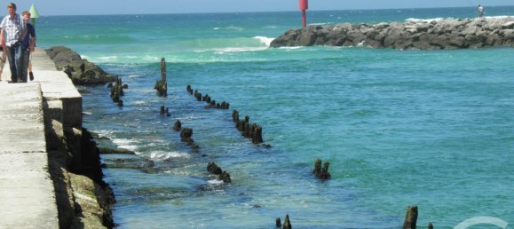  Land in Mimizan, France No. 279394 4