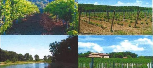 Estudio en Castiglione del Lago, Italy No. 1402 6