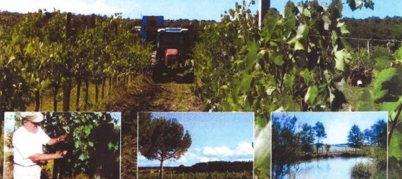 Estudio en Castiglione del Lago, Italy No. 1402 2