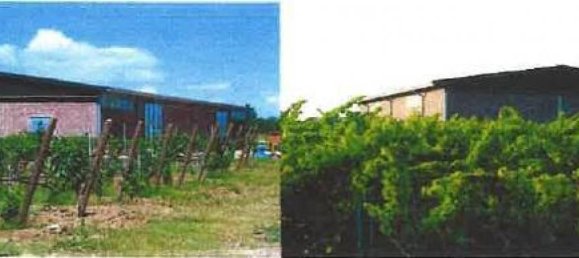 Estudio en Castiglione del Lago, Italy No. 1402 5