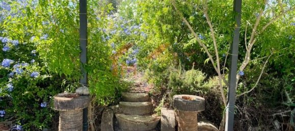 4 bedrooms Villa in Tavira, Portugal No. 224777 19