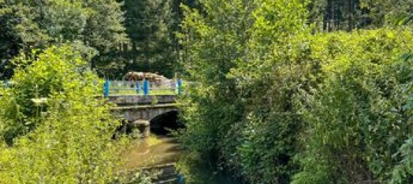 4 chambres Maison à Haute-Saône, France No. 301752 13