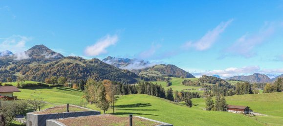 3 غرف نوم بانتهاوس في Schwendt, Austria رقم 106760 16
