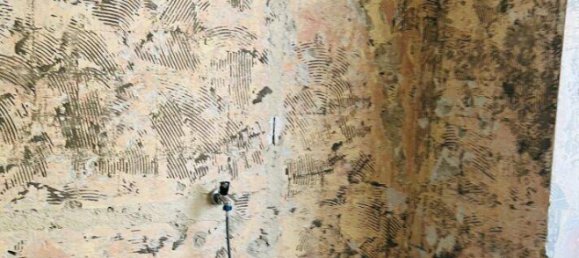 3-salle Appartement à Vienna, Austria No. 152766 12