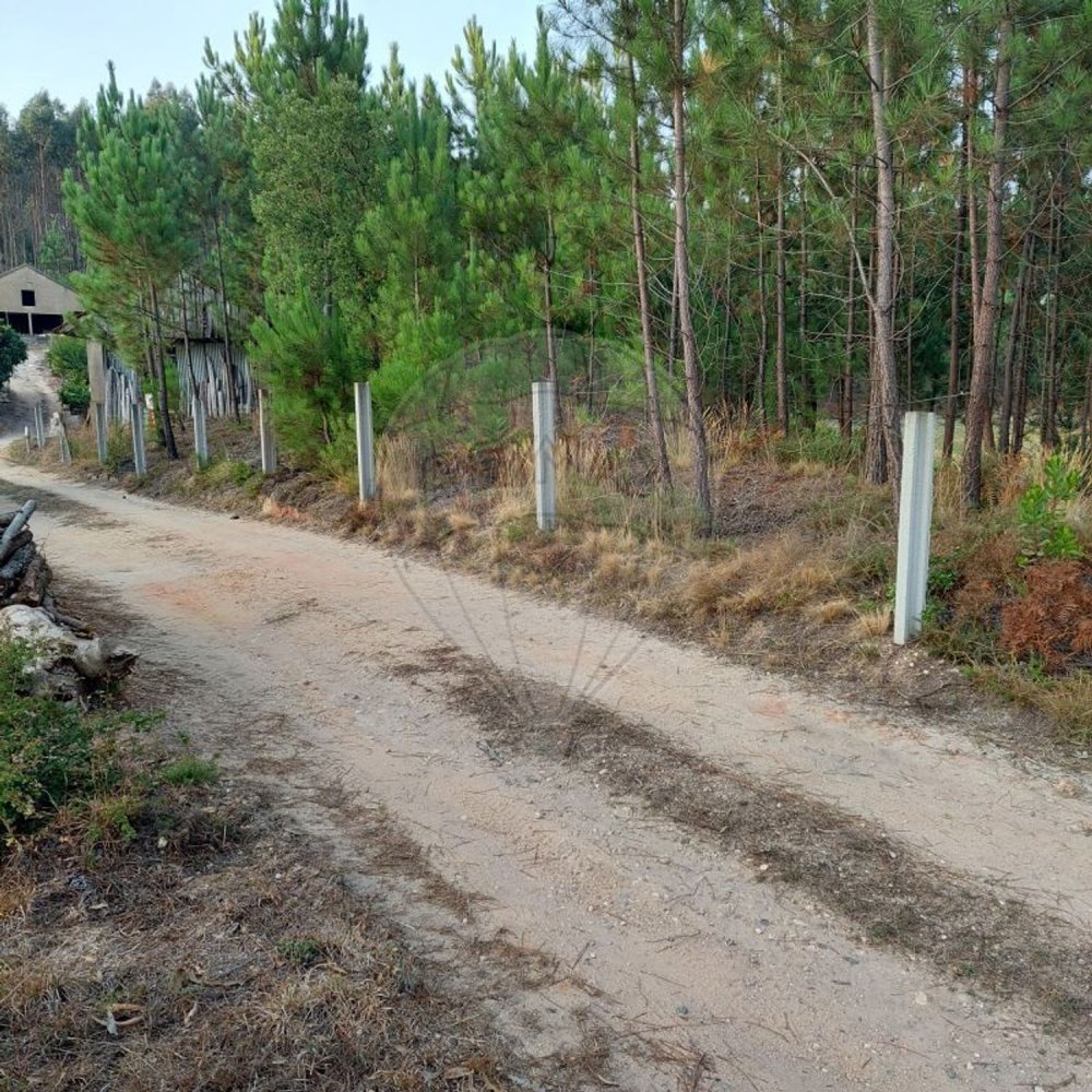  قطعة أرض في Ourem, Portugal 5000متر مربع رقم 73939