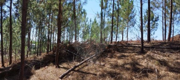  قطعة أرض في Ourem, Portugal 5000متر مربع رقم 73939 8