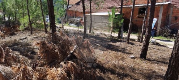  قطعة أرض في Ourem, Portugal 5000متر مربع رقم 73939 6