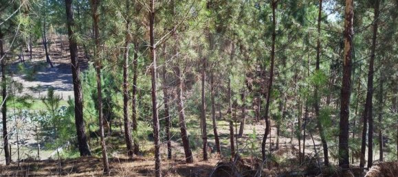  قطعة أرض في Ourem, Portugal 5000متر مربع رقم 73939 2