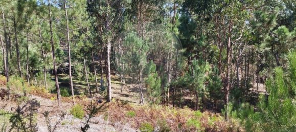  قطعة أرض في Ourem, Portugal 5000متر مربع رقم 73939 7